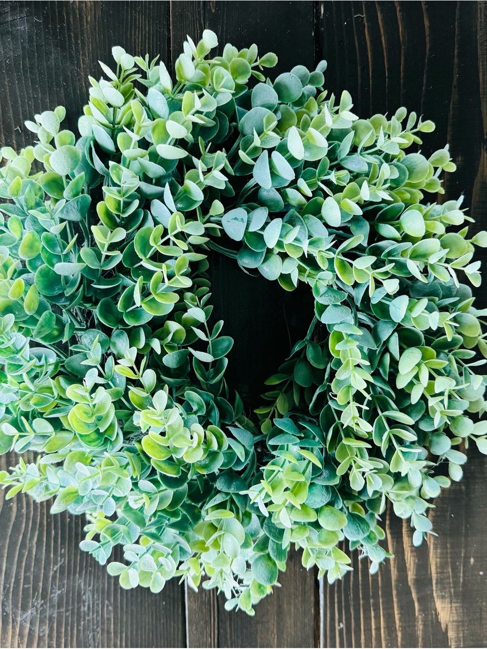 Small Artificial Eucalyptus Wreath - Hobby Lobby